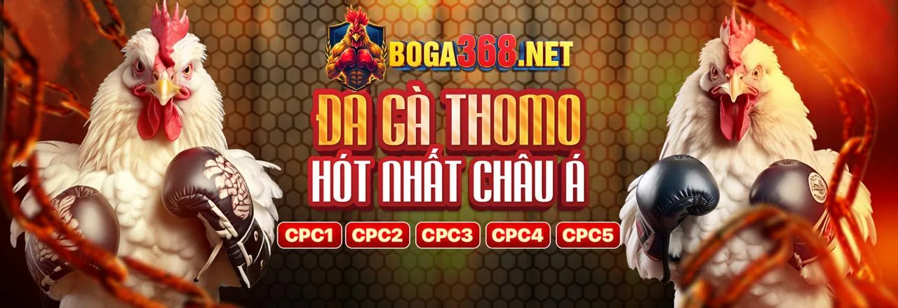 Tin tức mới nhất từ tp88 bet